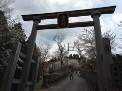 奥千本の金峯神社に到着。
鳥居の向こう側の坂道には、満開の桜が広がっていました。