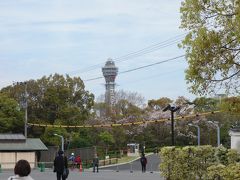 公園があります。天王寺公園です。