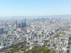 大阪の街一望～
天気も良くてキレイでした