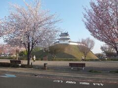 宇都宮市街地へと続く道は夕方の帰宅時間となりだいぶ混雑していました。
さすがに寺社巡りできる時刻ではもうないのでなんとなく宇都宮城址にやって来ました。なんか咲いています。桜？