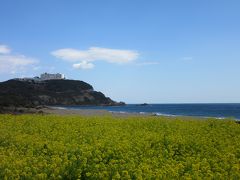 伊良湖岬も菜の花が満開

「碧い海」「白い雲」「黄色い菜の花」
岬に建つ白亜のホテル・・・

伊良湖は愛知県で一番美しい風景の一つとも言われているそうですが
納得の風景です