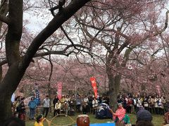 どこからか、賑やかな掛け声が聞こえます。
「南京玉すだれ」の大道芸が観客を集めています。

「The お祭り」です。

思わず手拍子を打つジジババです。