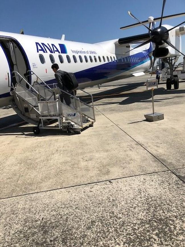 Anaで伊丹から高知へ1泊2日 高知市 高知県 の旅行記 ブログ By 佐藤公昭さん フォートラベル