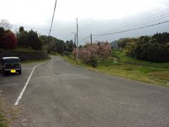 再び、大山千枚田へ行ってみることに(^_-)-☆。