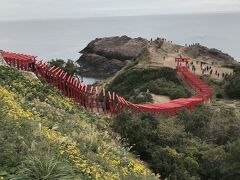 はるばる遠くこの景色を見に来た。顔出しパネルとかハートの賽銭箱とか、俗っぽい観光地化はこの景色と価値を台無しにしちゃうのにな。
まあ結構新しい神社（昭和30年）で歴史があるわけじゃないけどね。