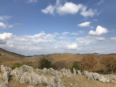 奇石が広がるカルスト台地。ここにしかない景色。