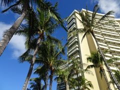 空を見上げてリゾート気分を満喫。天気に恵まれて良かったです。