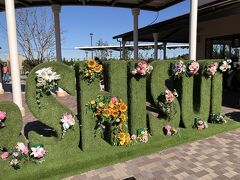 成田駅周辺ではありませんが、年末には酒々井プレミアムアウトレットへも行きました！京成成田から酒々井へ行き、そこからバスです。買い物に夢中すぎて途中のお茶とお昼ご飯くらしいか写真がありませんが、とても充実した買い物が出来たので記録として。