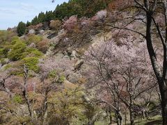 中千本公園