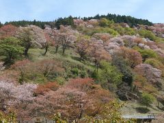 吉野山