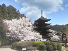 　山口市にある国宝「瑠璃光寺五重塔」です。奈良の法隆寺、京都の醍醐寺と共に日本三名塔と言われています。