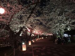 2019.04.05

五条川　堀尾跡公園