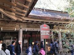 そして吉野水分神社（よしのみくまりじんじゃ）へ。
子宝の神様がいる神社です。

建物と桜がとても合っていて絵になるスポットです。
拝殿には行列ができていました。御朱印かな？？