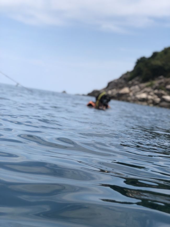 コイルは怖いからと、船で待ってるって(^-^;