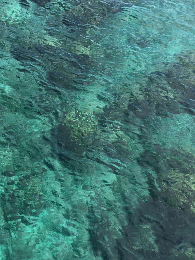 この近くでシュノーケリングするみたい