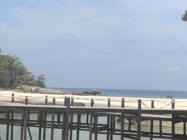 みんな元気で続々と海へ泳ぎに行ってるよ…<br />あっ、デッキチェア、全部取られちゃう(๑>◡<๑)