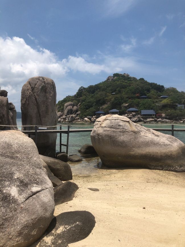 昼飯食べて木陰でのんびりもいいね