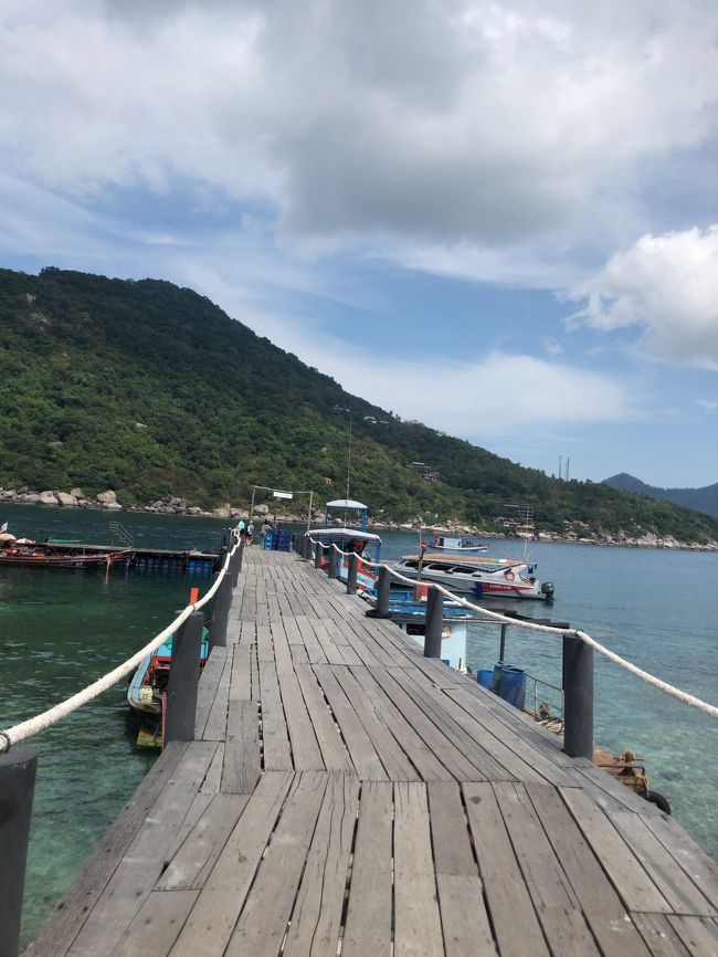 帰りの船は来てないね