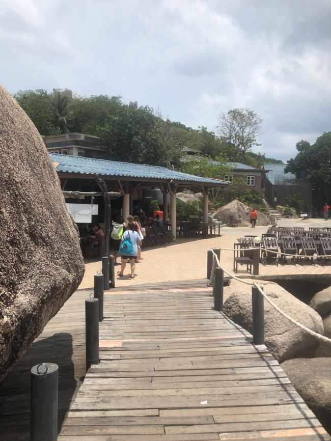 なんか建屋が見えてきた