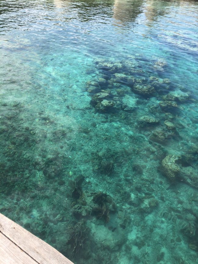 水も引き、浅瀬が多いけど綺麗だね