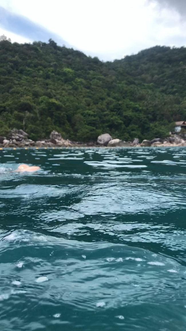 せっかく新たに水深20mまでOKで水に浮く防水スマホケースも買ったのに…<br /><br />まぁ、使い道は別にもあるけど…