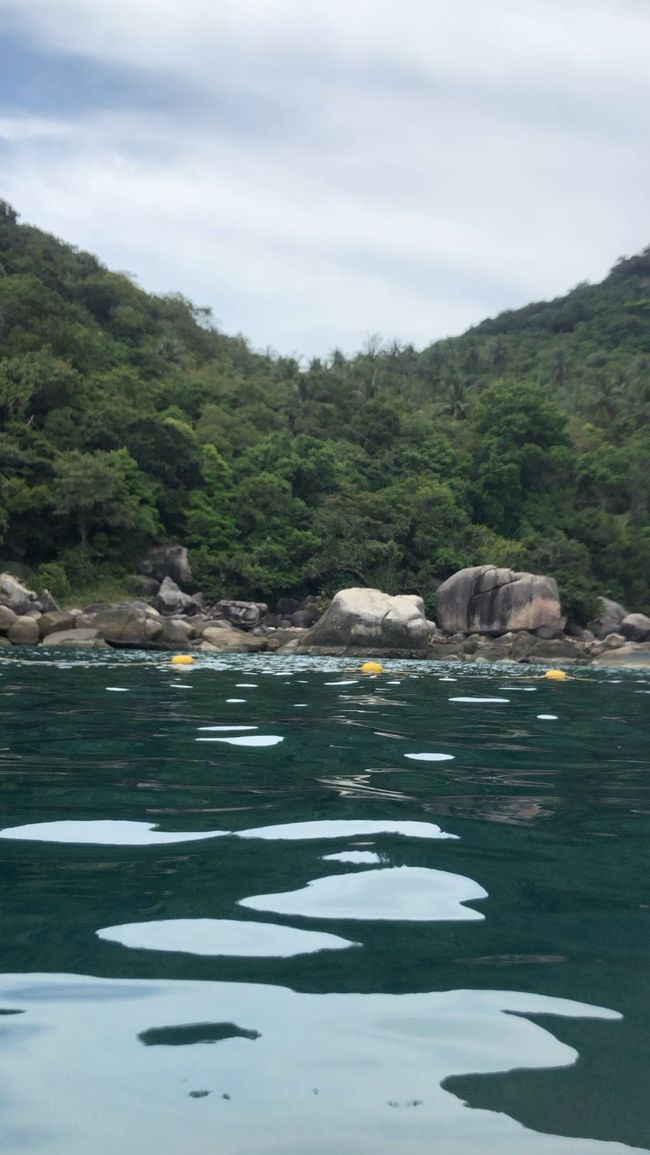 そう言えば、シュノーケリングと言っても、シュノーケルとゴーグルだけ(^ ^)<br />しかもライフジャケット着用^ - ^<br />フィンはダメ～( ´ ▽ ` )<br />深く潜れません(u_u)<br /><br />珊瑚を守る為なのかな