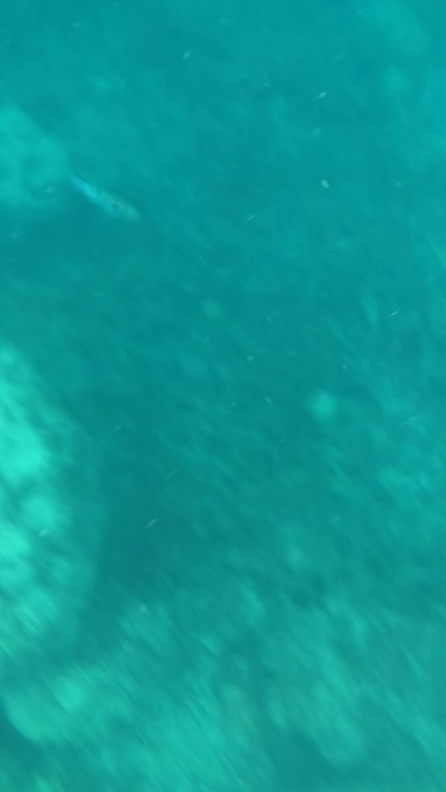 あっ！<br />左上に何かひらひらと