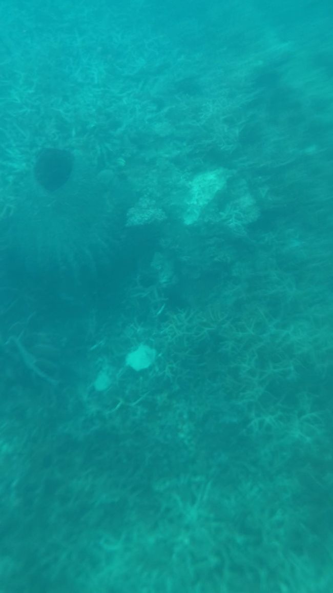 何もいないぞ～