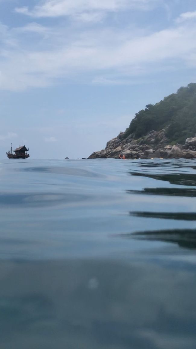 そろそろ連れてくかな