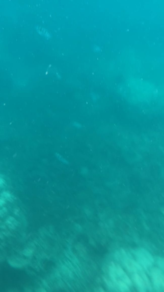 あっあっあー<br />何匹も見えてきた>* ))))><