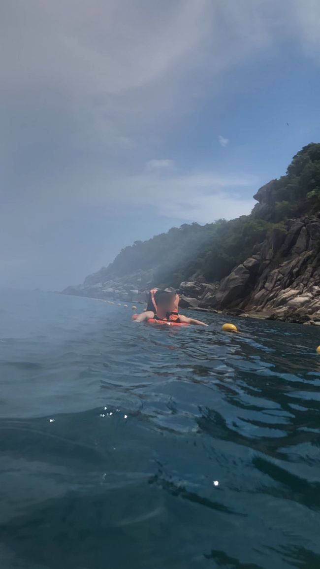 慣れてきた頃に見上げると？