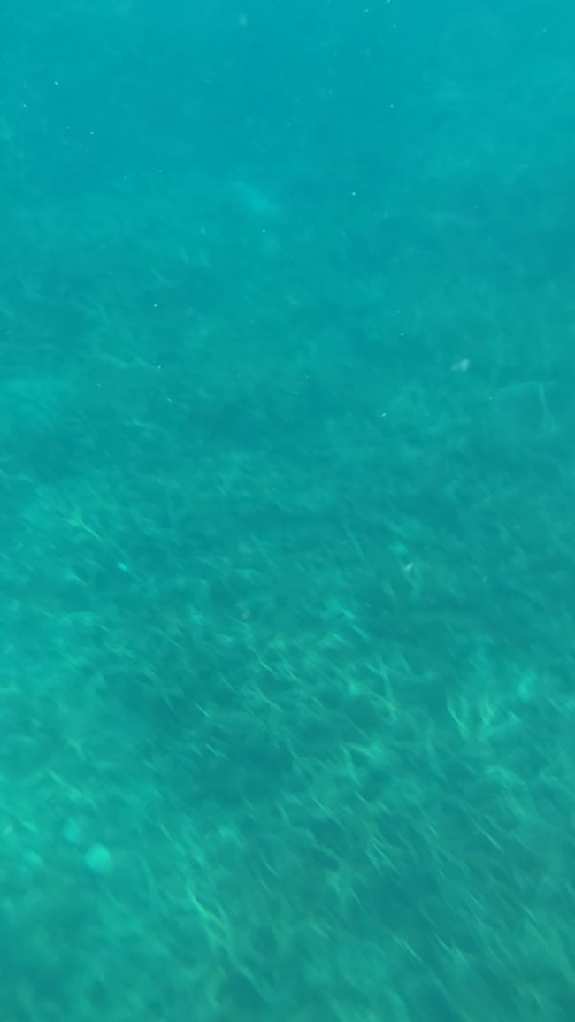 水面プカプカで水中撮影<br />何も映らない^ ^