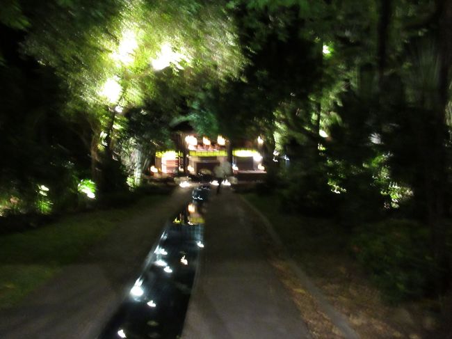 コンビニで買い物をしてると、騒がしい中国人が大きな水鉄砲をかついでびしょ濡れで入って来た(^-^;<br /><br />そう言えば、明日はタイのお正月(๑･̑◡･̑๑)<br />前夜祭して来たな^ ^