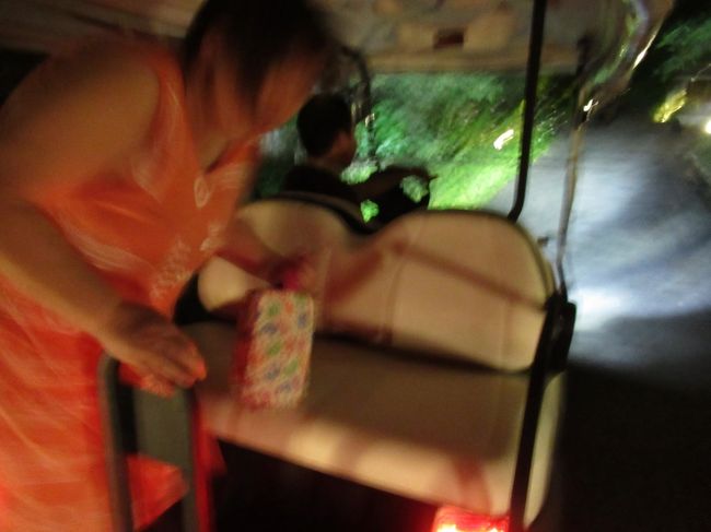 フロントでお勘定なんだけど、フロントまでは上り坂^ ^<br />コイルがまたカートを呼んでくれるのかとポケトークで聞いてみたら、呼んでくれました(￣▽￣)