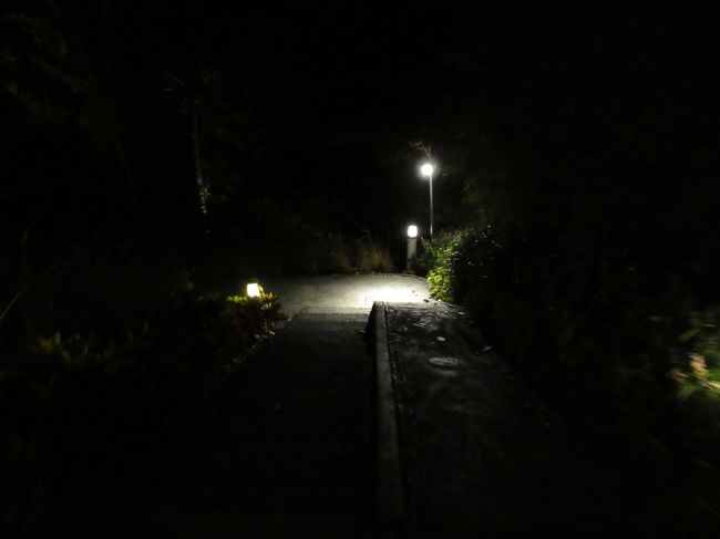 カートは後ろ向きで座るので、坂を登る時はちょっと怖い