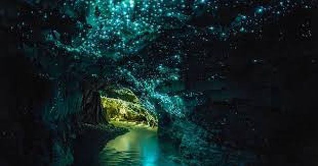 ボートに乗っている時間は短いのですが（笑）とても綺麗でした。