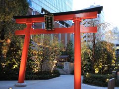 The Tree of Light の設置場所は福徳神社の裏側の福徳の森。