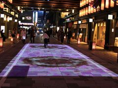 人の動きに呼応し16mの桜の絨毯が出現するインタラクティブ作品『サクラカーペット』は、約100個の桜提灯とともに、通り一帯がインスタレーションとライトアップで桜色に染まる、幻想的な参道となっています。