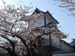 金沢城公園 玉泉院丸庭園