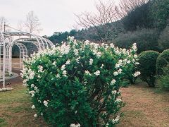 滋賀県立近江富士花緑公園