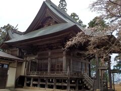 胡四王神社の境内。やっと桜が咲き出した所で、やっぱり北東北は寒いんだなーと実感。