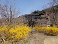 花巻温泉郷の「優香苑」で迎えた2日目の朝。今日も好天が期待できます。
出発前に宿の庭園（イングリッシュガーデン）を散策してみる。レンギョウの黄色い花が目に鮮やか。