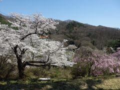 丘から裏手にそのまま下って行って、みちのく民俗村を訪ねてみる。
http://michinoku-fv.net/