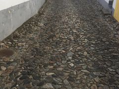 4時半の便にのり、あっという間につきました。飛行機の中はスポーツチームのサポーターがグループで乗り込んできたので、とてもうるさかったし、トイレへの道をブロックしてとても迷惑でした。easyJetは格安航空だからねー。ちなみに帰りはTAP(ポルトガル航空)です。

空港についたら簡単な入国審査。ポルトガルは緩いのね。イギリスは質問攻めですよ、入国審査官。
飛行場を出たら、道を渡ってバス乗り場へ。バスはほぼ１時間に１本しか街の中心地に出てない模様。空港なのに信じられん。
１６番のバスに乗りました。2.45€だったかな。バスの運ちゃんは英語を喋れました。
今回はairbnbで宿を予約していきました。１名分１泊3000円ちょいで、中心街のすぐ近く。ありがたい。
ポルトガルの町なんですが、写真の通り、石畳なので注意です！スーツケースだとゴロゴロしてしまい、歩道の道幅もとても狭いので重いスーツケースはポルトガルには向きません。
これでだいぶ苦労しましたので、バックパックをお勧めします。