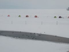 6時過ぎ起床。
部屋からの景色は阿寒湖、ワカサギ釣りのテントと鴨の群れ。