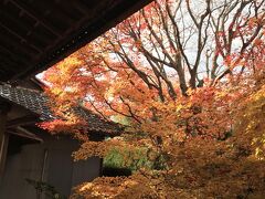 近くの常照寺や光悦寺も紅葉の名所ですが、駅から距離があるためか人が少なく、ゆっくり静かに見て回れました。嵐山と同じ借景の庭園はのんびりできて気持ちよかったです。