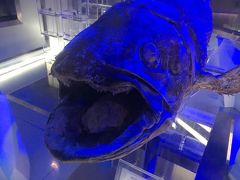 大口を開けて迫力満点