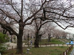 　隅田公園の「桜の広場」です。満開までまだまだな気もしますが、花見のためシートを敷き準備する人もいました。