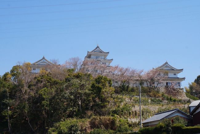 湯浅散策と桜咲く道成寺