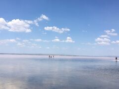 大塩湖『トゥズ湖』
塩湖トゥズ湖は、長さ、65キロ以上の大きな湖であるが、流れ込む川はない。夏になるとすっかり干上がり、歩いて、真ん中まで行けるそうです。トルコの塩の75％がここで、生産されるそうです。